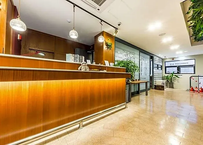 Shinchon Millhaus Hotel 4*