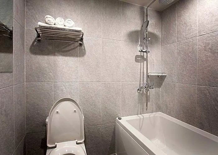 Hotel Shinchon Millhaus Seúl
